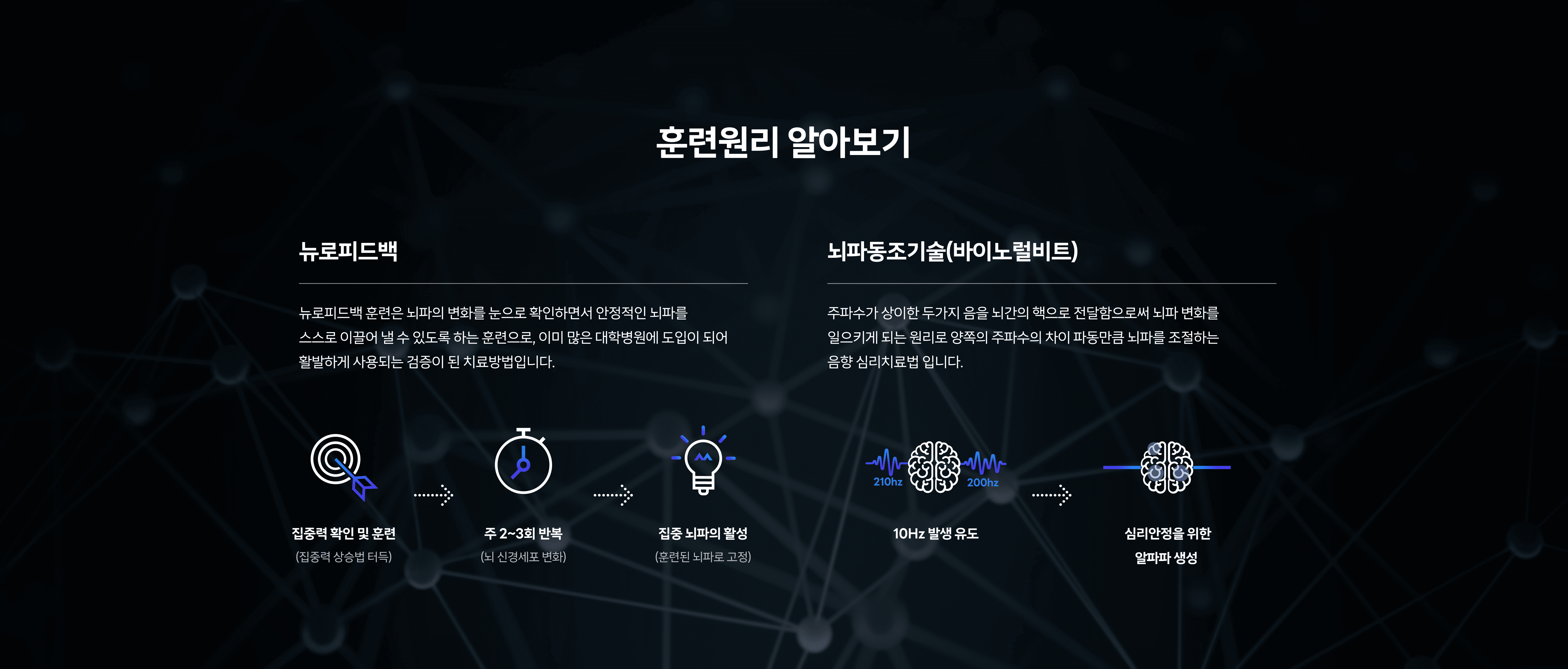 훈련원리 알아보기