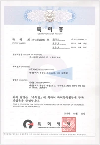 브레인트레이닝 특허증 2