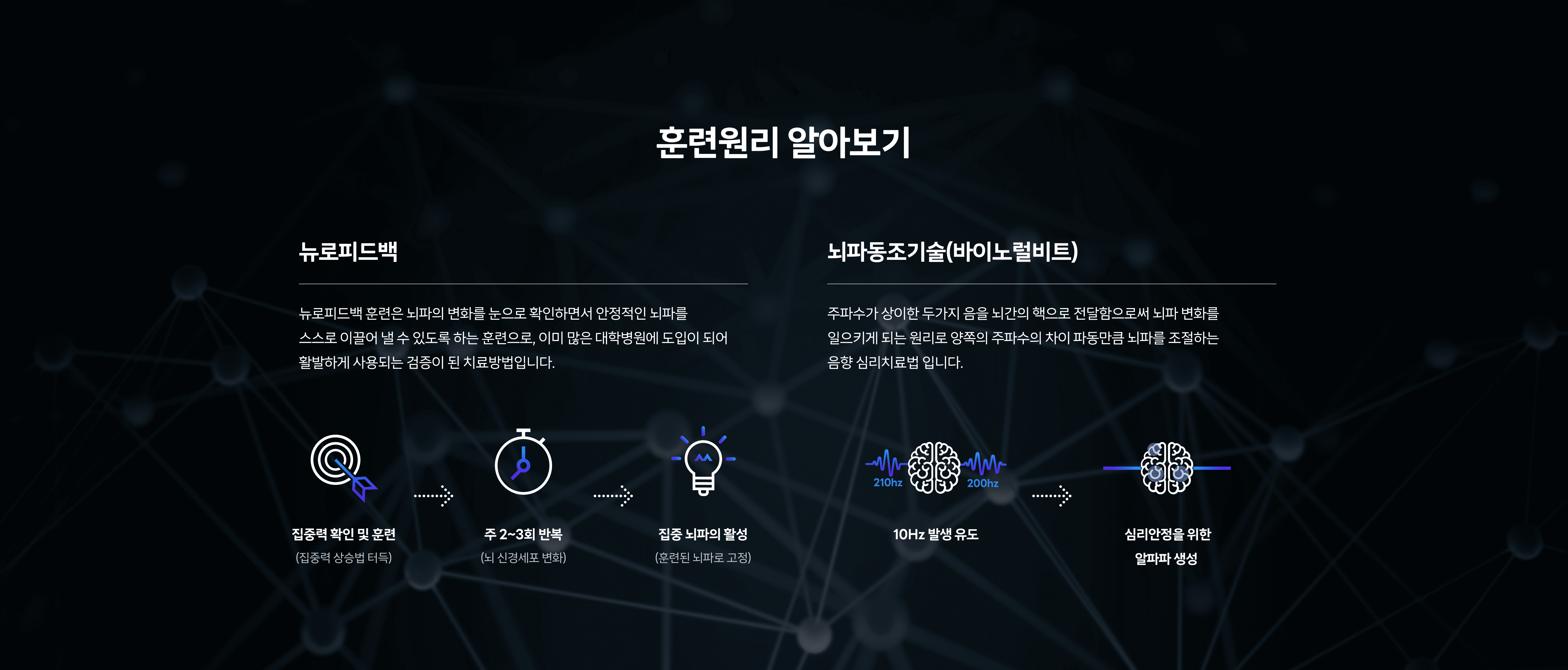 훈련원리 알아보기